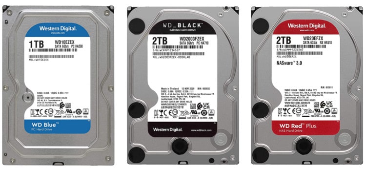 What are the differences between the different colors of Western Digital HDD?