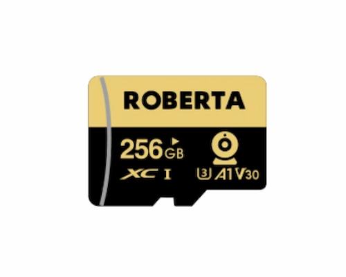 ROBERTA 256GB Memory Cards