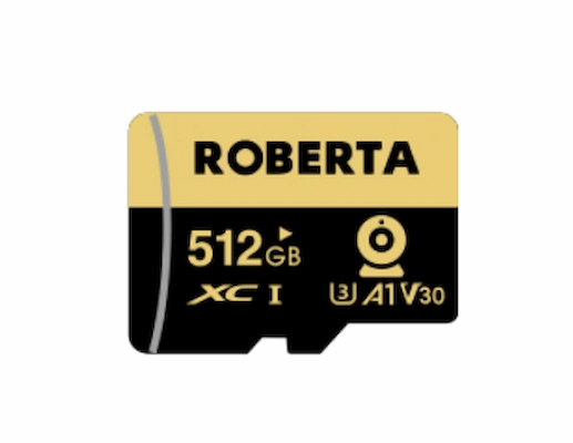 ROBERTA 512GB Memory Cards
